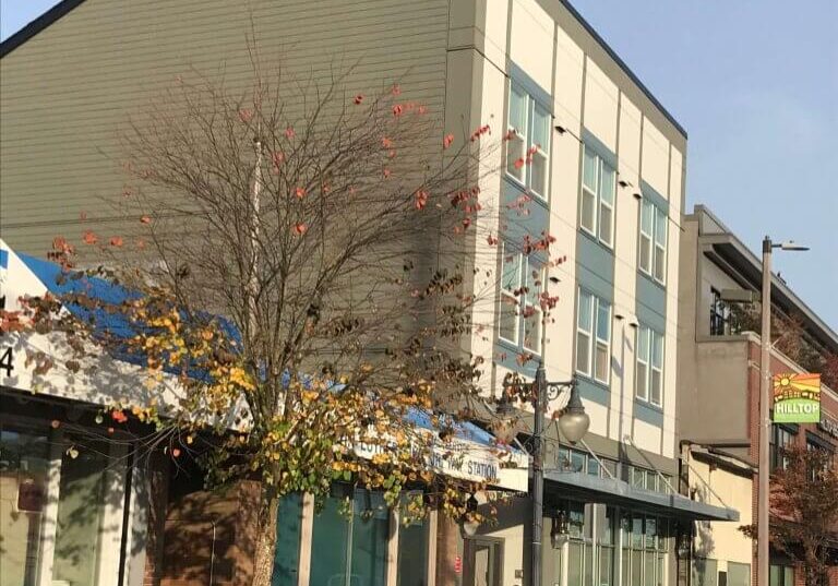 A tree with sparse autumn leaves stands in front of the modern three-story Valhalla Court Apartments on a quiet city street with parked cars.
